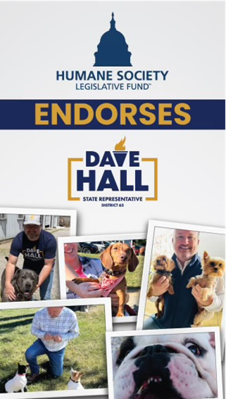 Dave Hall endorsement