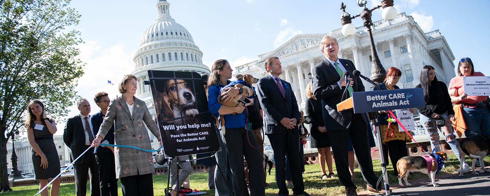 group of people and beagles in front of the U.S. Capitol building