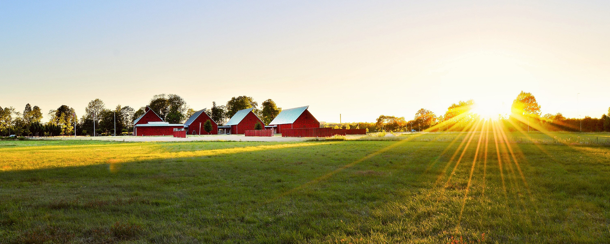 Grassy field with a red buildings in the background and the sun setting