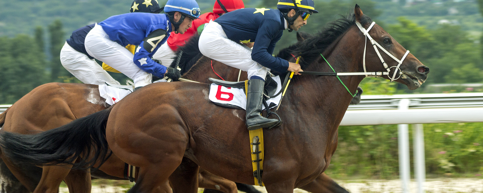 close up of horses in a horse race