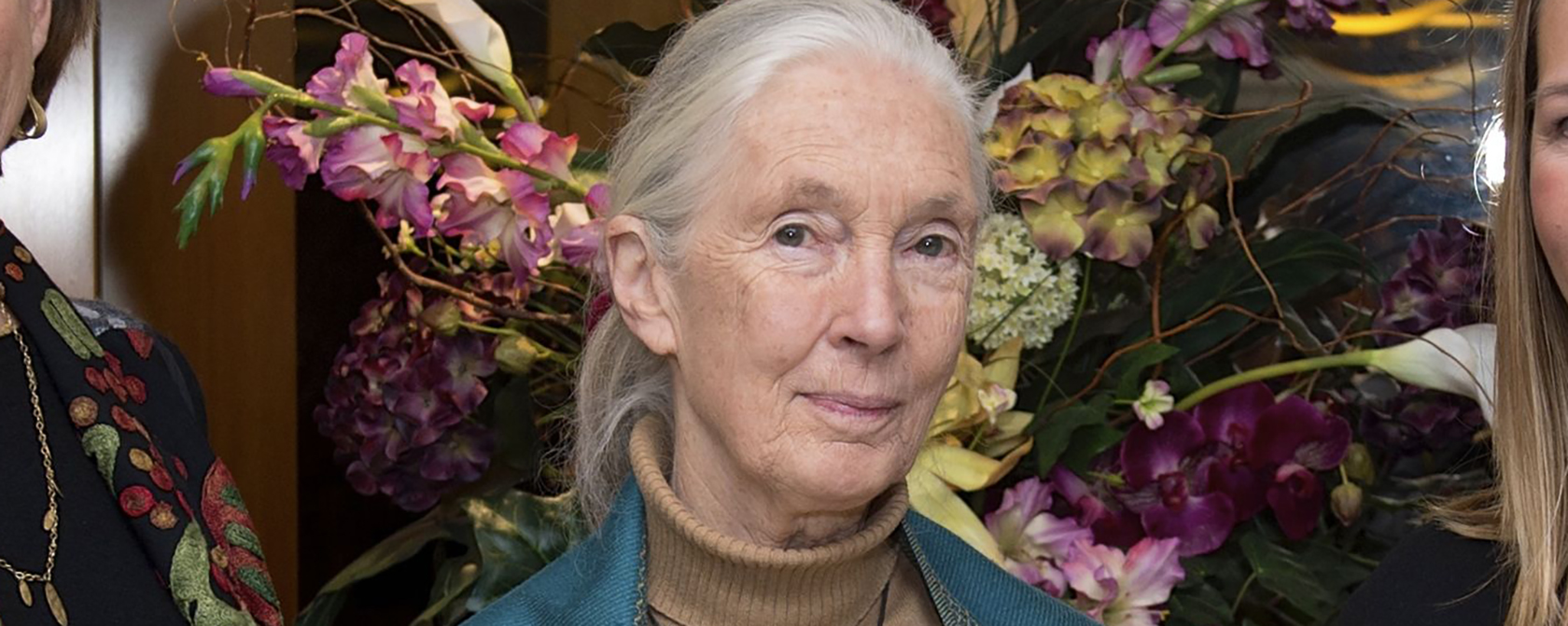 Dr. Jane Goodall