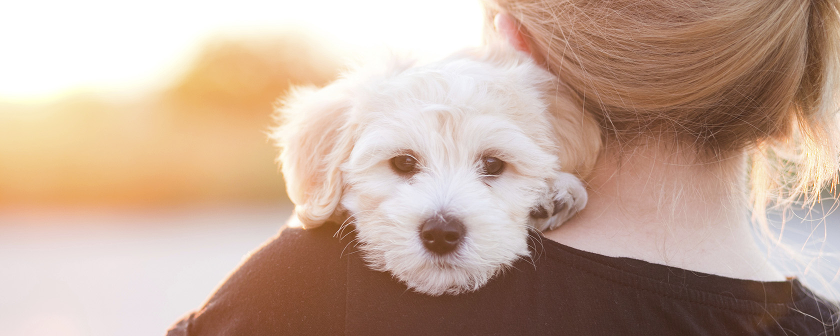 woman holding her dog