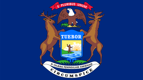 Michigan flag