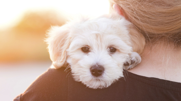 woman holding a puppy