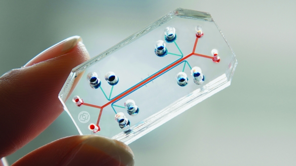 Non-animal alternatives to animal experiments