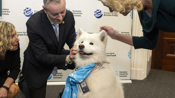 three people with a white dog