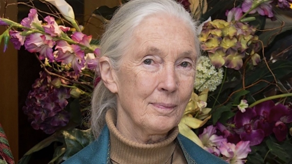 Dr. Jane Goodall