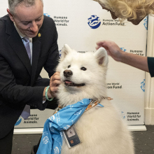 three people with a white dog