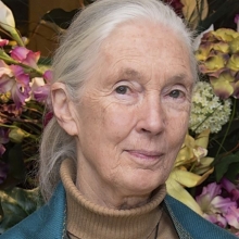 Dr. Jane Goodall